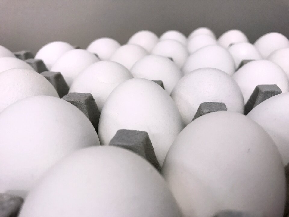 Grey easter chicken