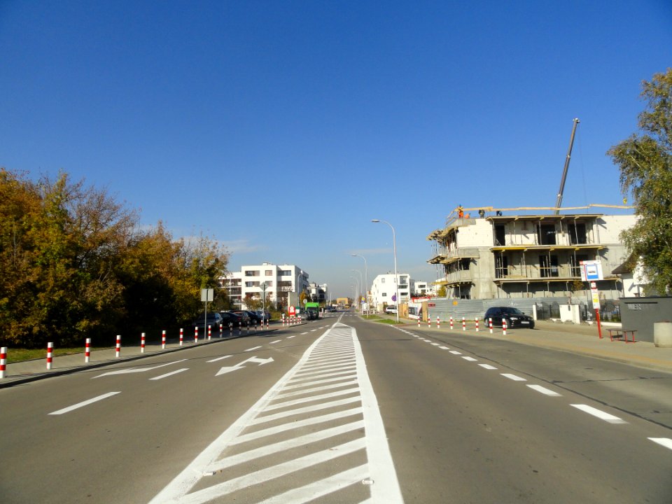 2018_Warszawa_Wierna