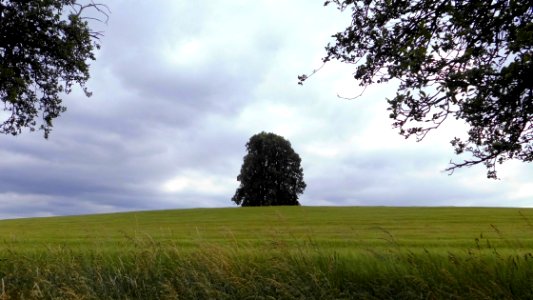 2018_Rammenau_Kleppischberg