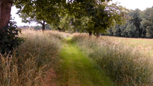 2018_Rammenau_gepflegter_Wanderweg