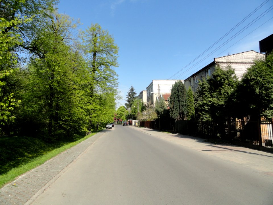 2018_Warszawa_Cienista