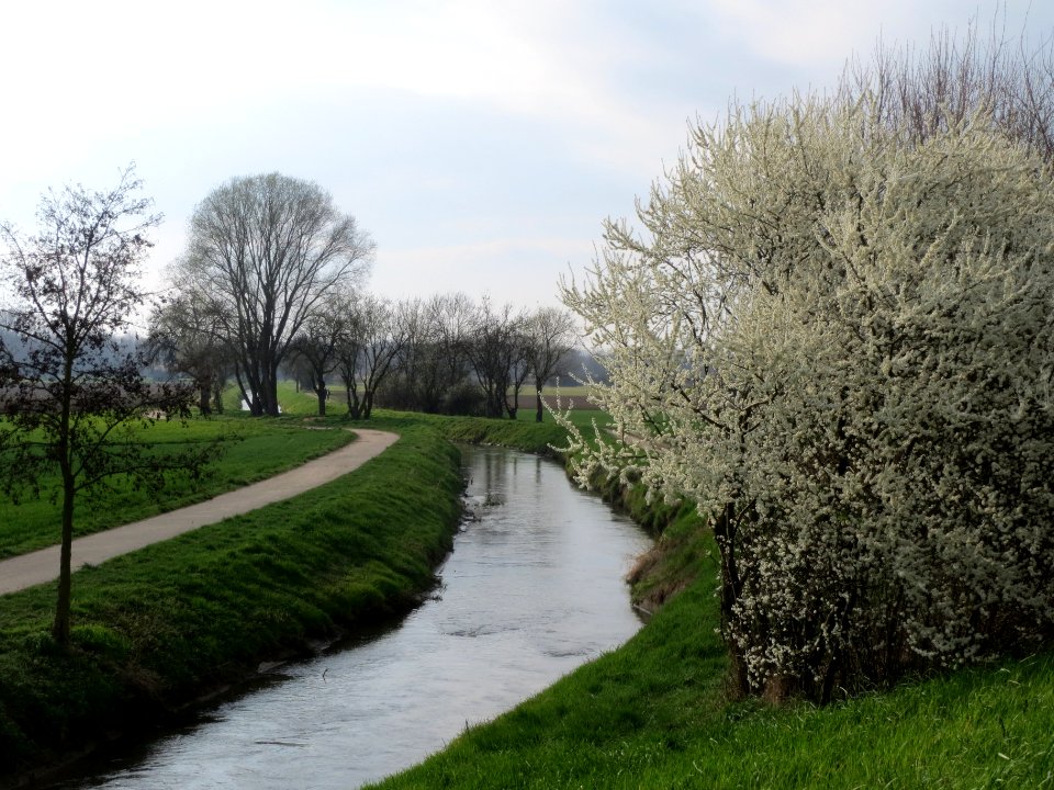 20140316Leimbach_Bruehl