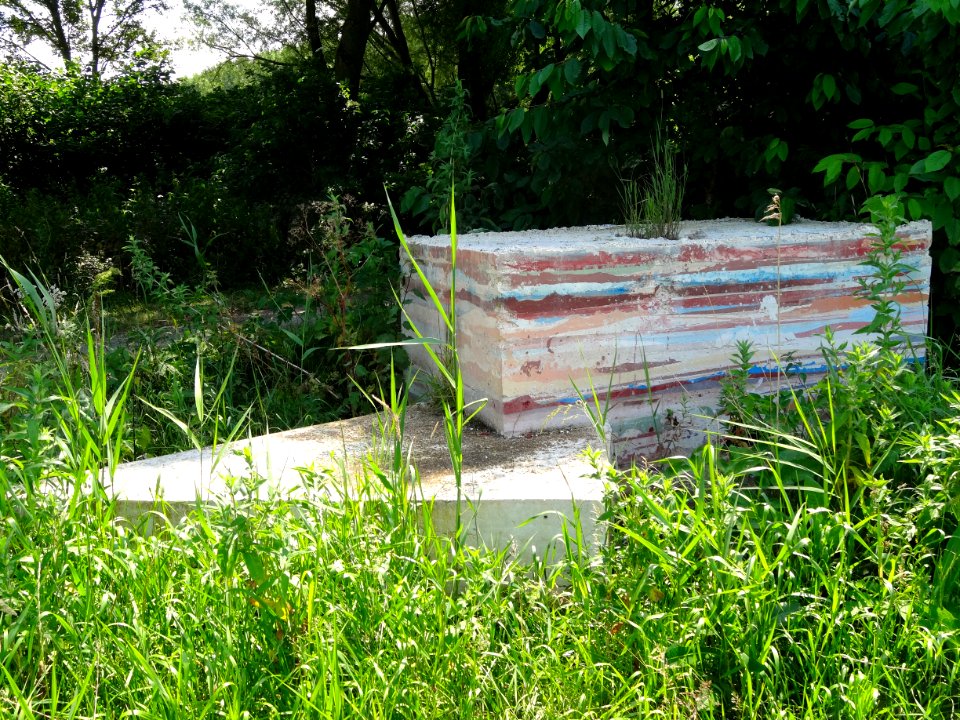 20140626_Natuurlijke_ruimte_door_Alex_Jacobs_bij_Meerkoetentocht_Lelystad