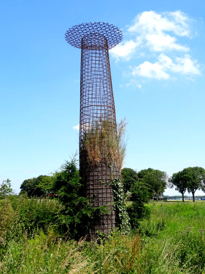 20140626_Visarendhorst_door_Nout_Visser_Meerkoetenweg_Lelystad
