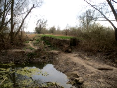 20140316Schwetzinger_Wiesen