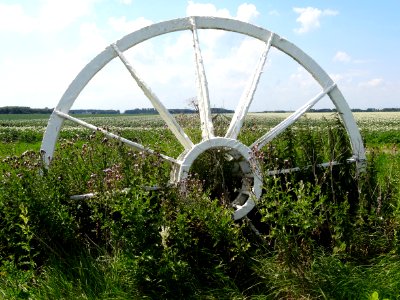 20140626_Kijk_de_tijd_door_Rob_van_den_Broek_tussen_Meerkoetenweg_en_Meerkoetentocht_Lelystad