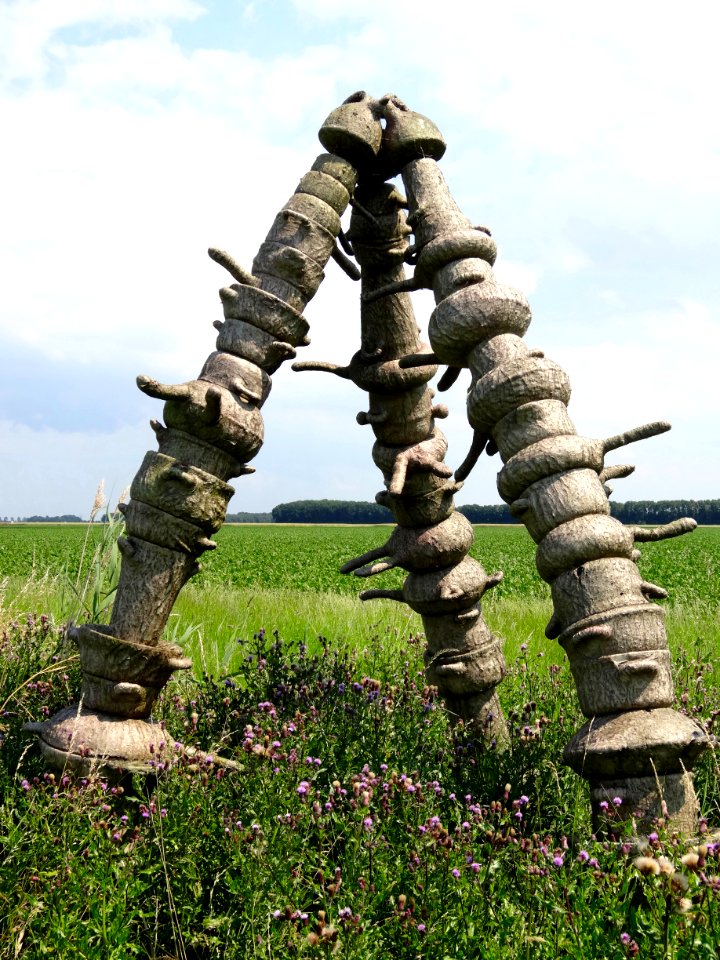 20140626_Repast_door_Mariel_Bisschops_Meerkoetenweg_Lelystad
