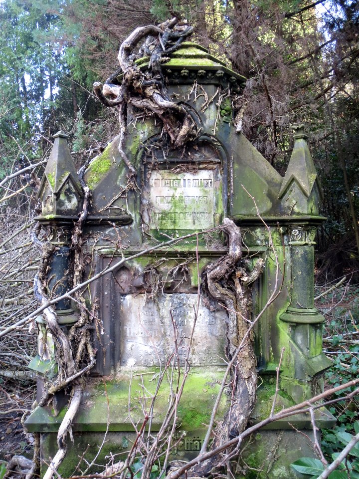 20140313Friedhof_Alt_Saarbruecken5