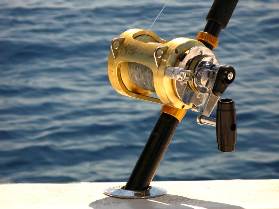 Fishing blue fish blue fishing