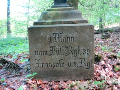 20140413Stiftswald_St_Arnual4