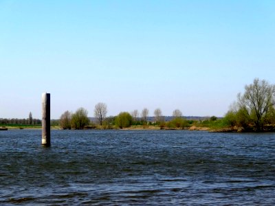 20140415_Het_Zwarte_schaar1_ten_noorden_van_Doesburg