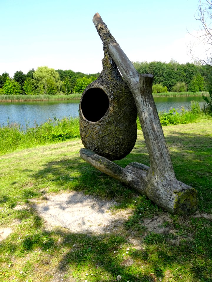 20140626_nest_buidelmees_Natuurpark_Lelystad