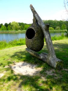20140626_nest_buidelmees_Natuurpark_Lelystad