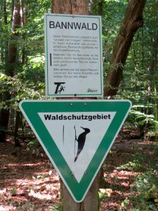 20140625Saubusch