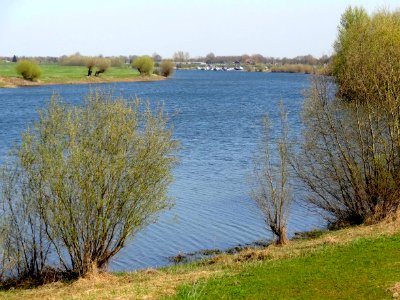 20140415_Het_Zwarte_schaar2_ten_noorden_van_Doesburg