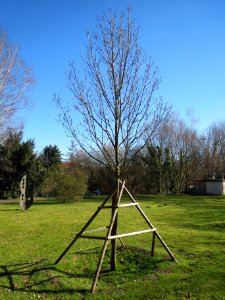20140217Esche_Hockenheim