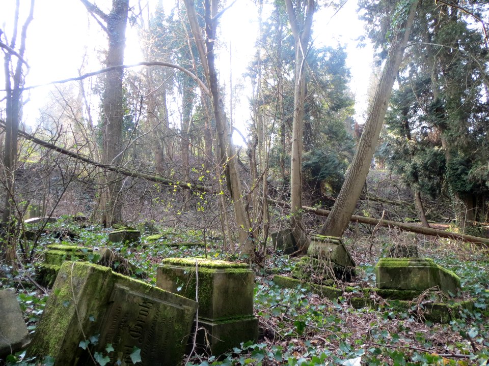 20140313Friedhof_Alt_Saarbruecken1