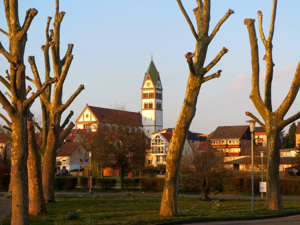 20140316Platanen_Ketsch2