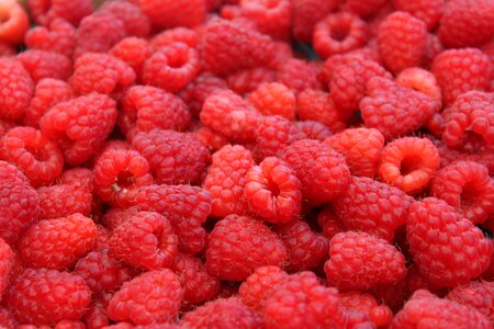 Healthy red sweet