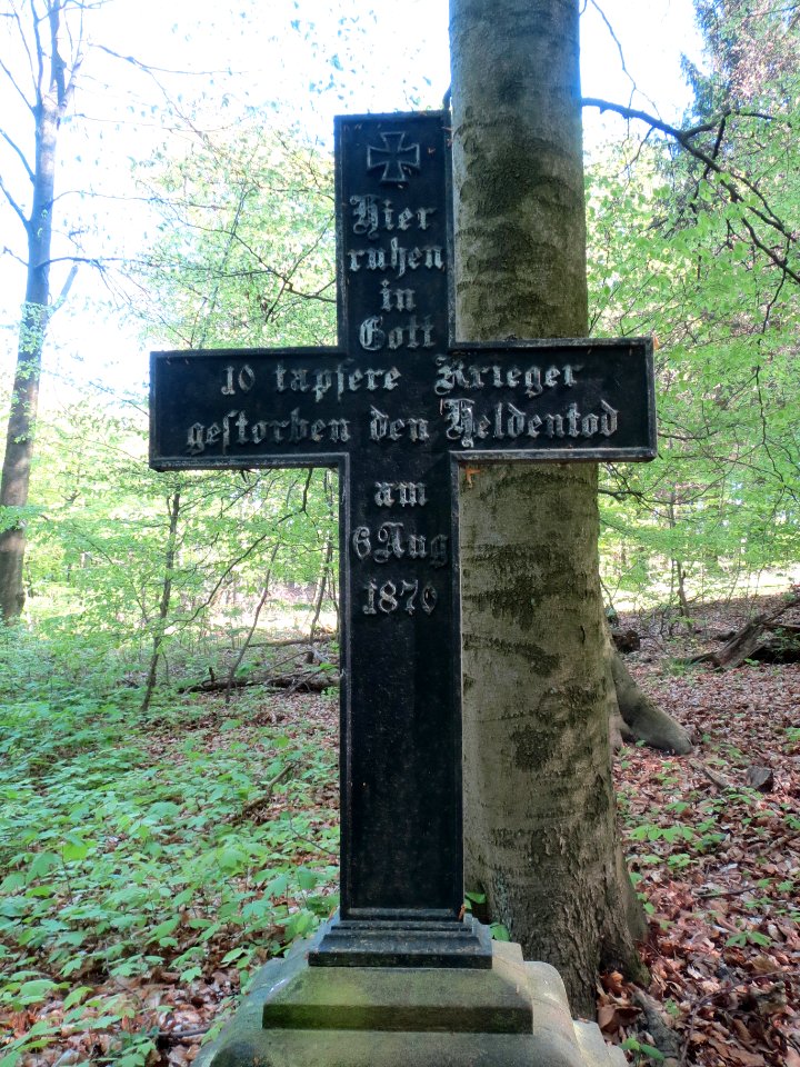 20140413Stiftswald_St_Arnual3