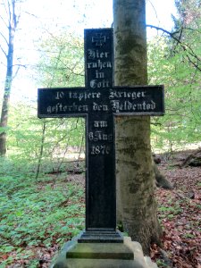 20140413Stiftswald_St_Arnual3