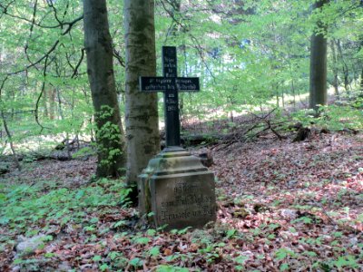 20140413Stiftswald_St_Arnual1