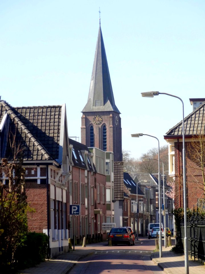 20140415_Dieren_met_Dierense_toren