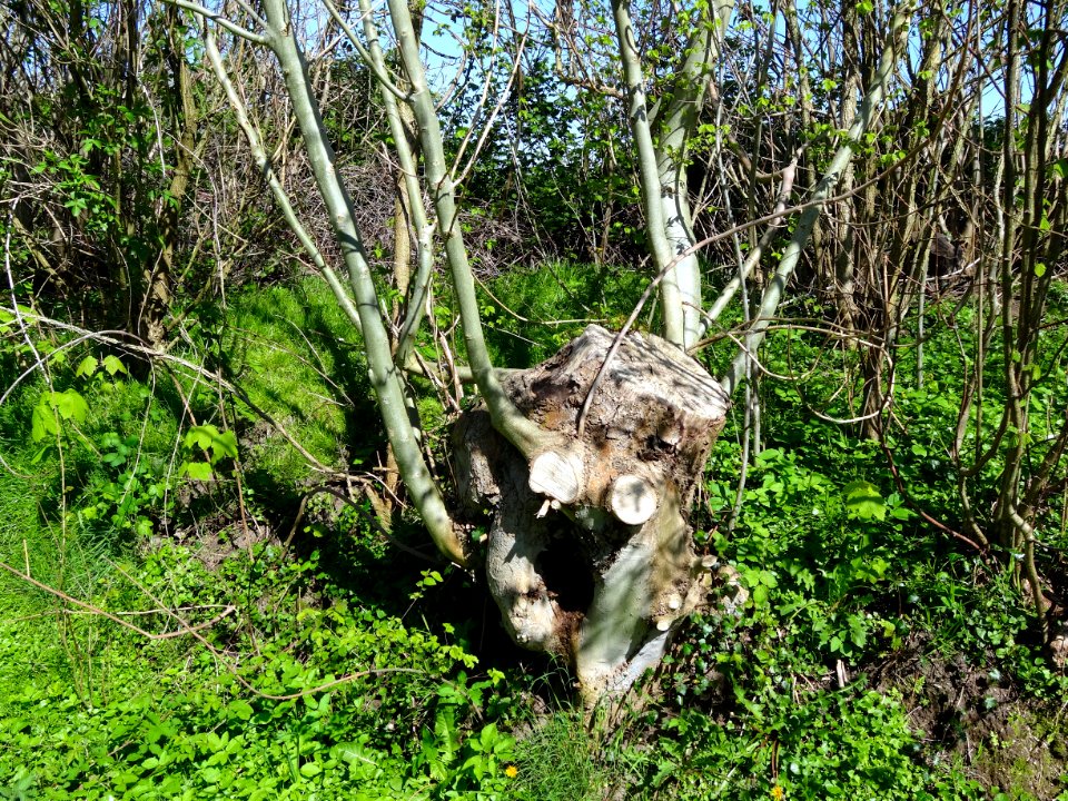 20140416_Essenstoof_Geldringensteeg