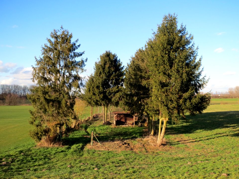 20140217Schrebergarten_Reilingen