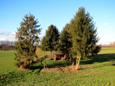 20140217Schrebergarten_Reilingen