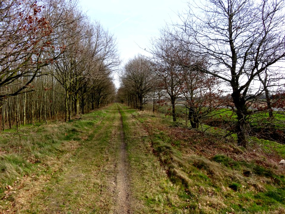 20140224Talud_voormalige_spoorbaan_Assen-Stadskanaal