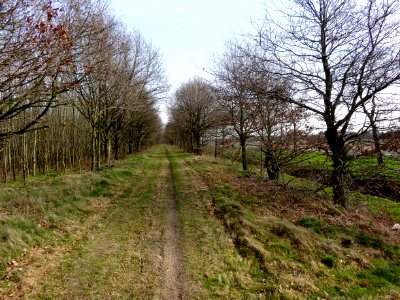 20140224Talud_voormalige_spoorbaan_Assen-Stadskanaal