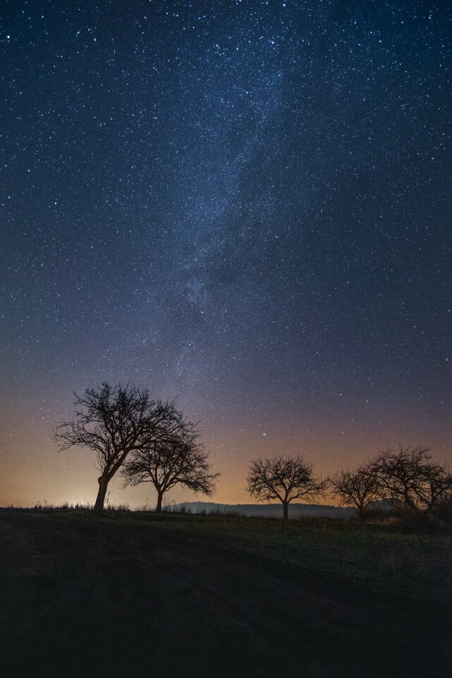 Night nature night sky