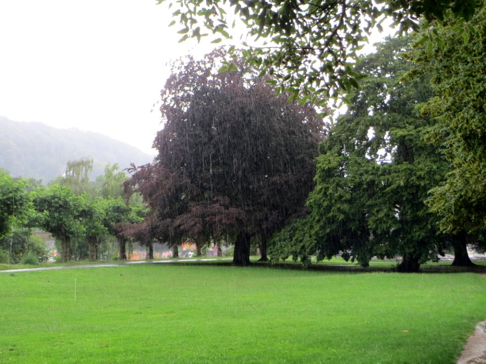 20140713Staden2