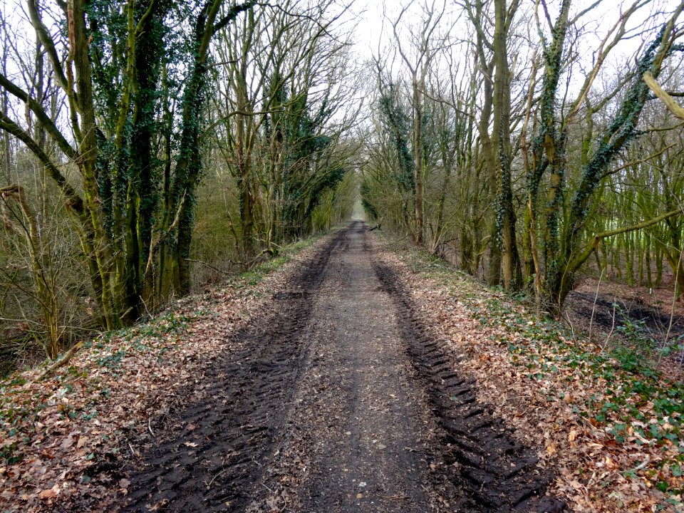 20140226Baanlichaam_voormalige_spoorbaan_Assen-Stadskanaal