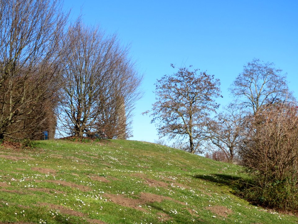 20140217Gartenschaupark_Hockenheim