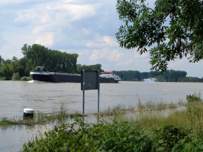 20140724Hochwasser_Altlussheim11