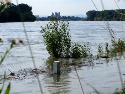 20140724Hochwasser_Altlussheim15