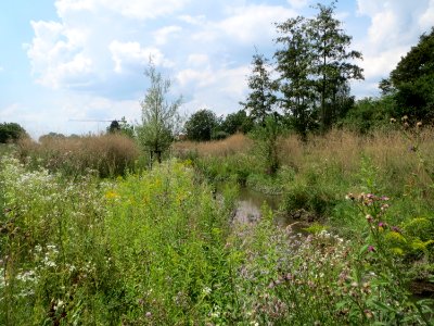 20140724Kriegbach2