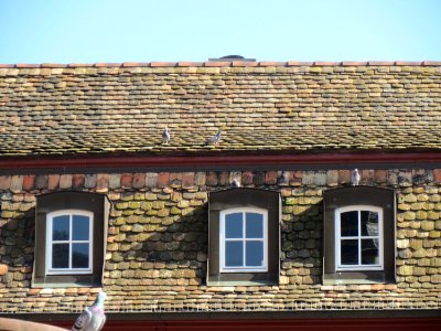 20140309Marktplatz_5_Neustadt