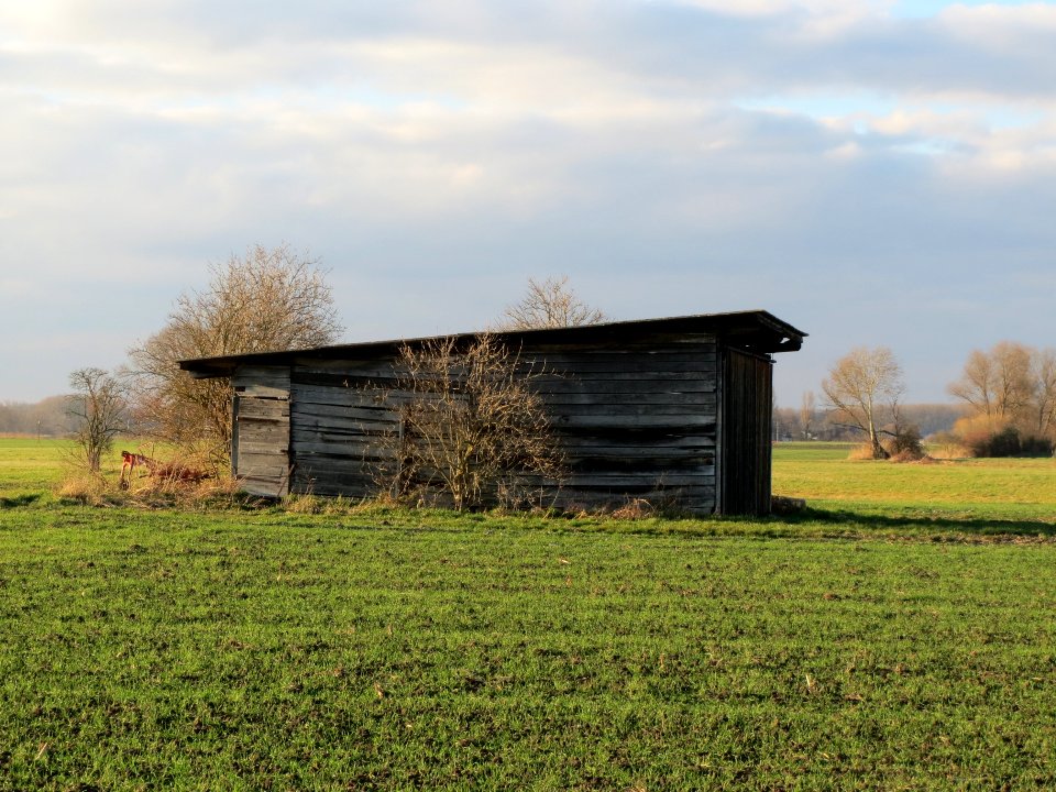 20140302Schuppen_Hockenheimer_Rheinbogen
