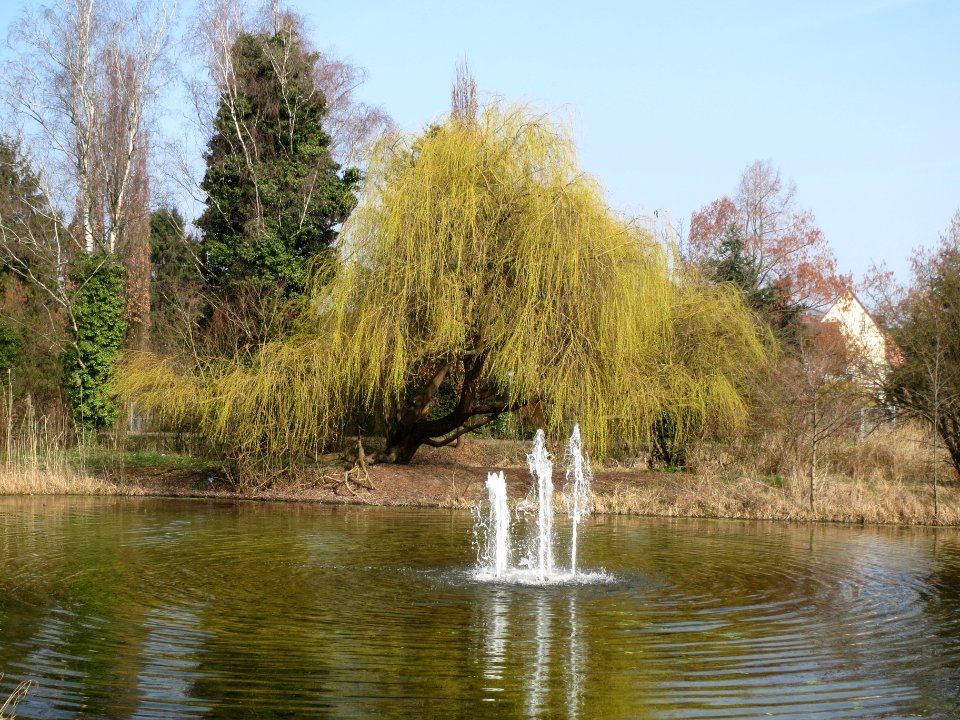 20140308Ebertpark_Hockenheim