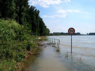 20140724Hochwasser_Altlussheim01