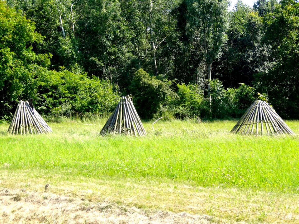 20140703_Knarbos_Oost