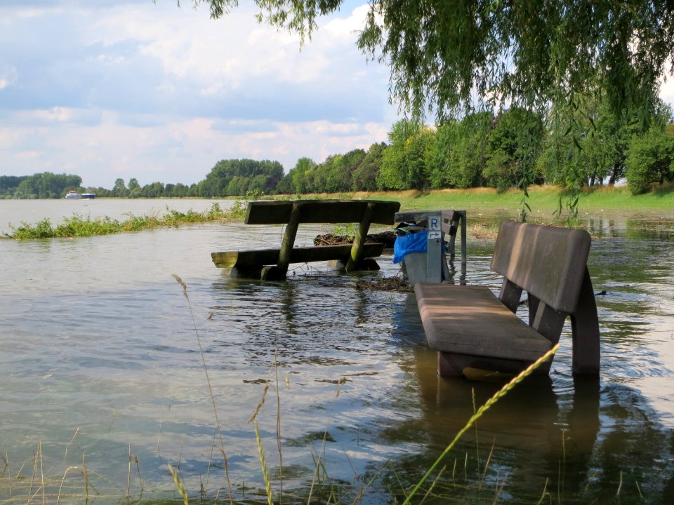 20140724Hochwasser_Altlussheim07