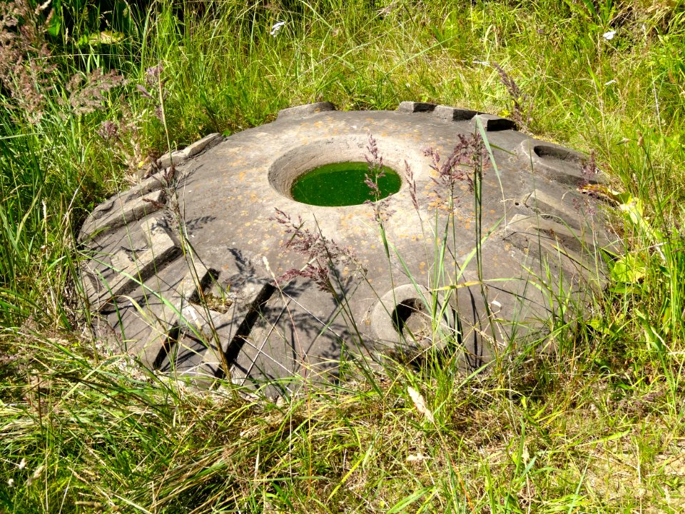20140703_Meetpunt_door_Anthea_Simmonds_Knarbos_Oost