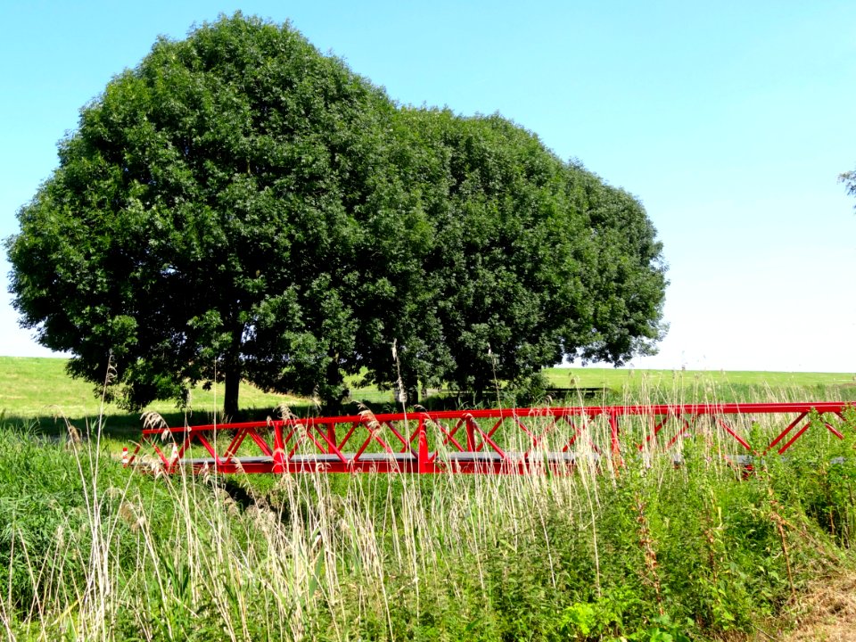 20140703_Brug_over_Ooievaarstocht_naar_Knarbos_West