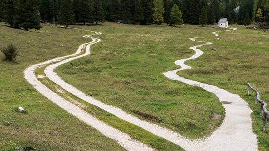 Decision curves roll