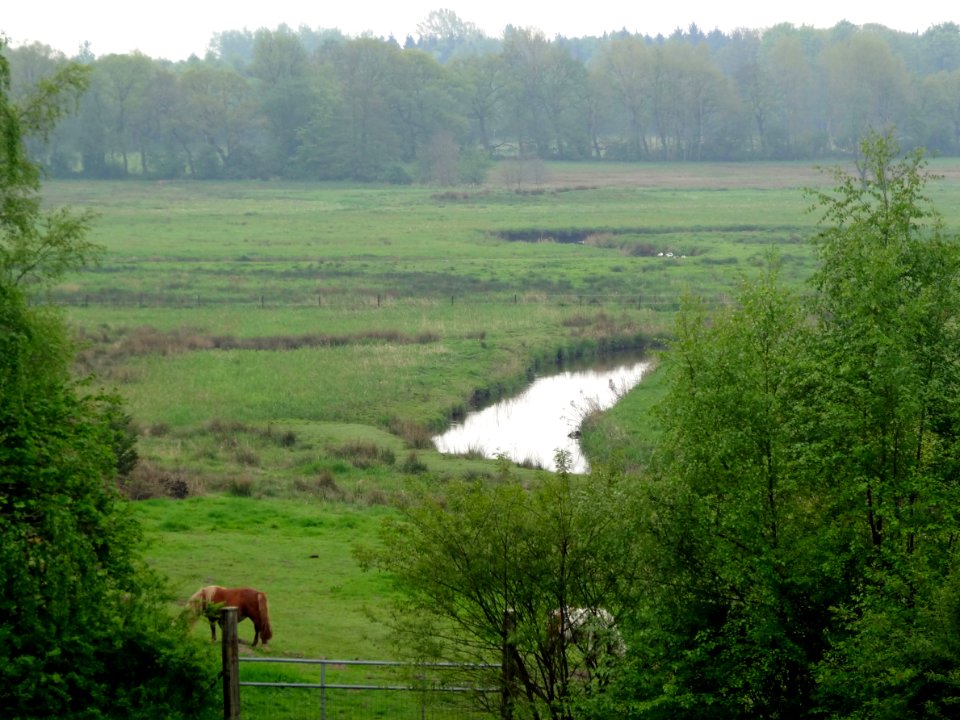 20140429_Drentsche_Aa_nabij_Schipborg3