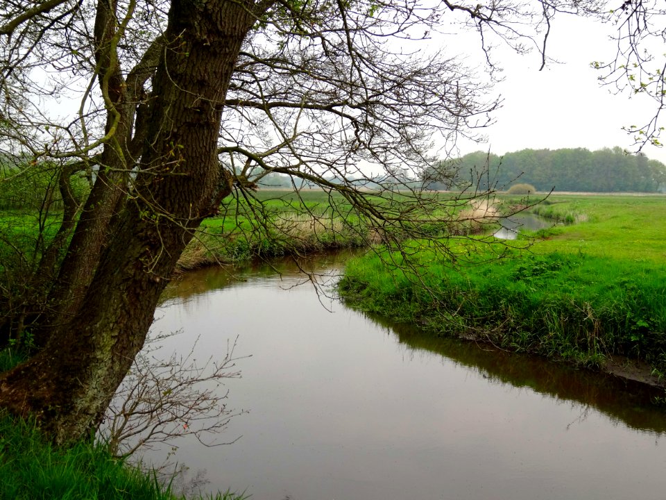 20140429_Drentsche_Aa_nabij_Schipborg2